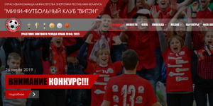 Создание сайта МФК "Витэн"
