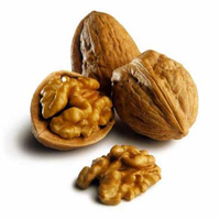 Создание сайтов. Шаг 6 - Составление семантического ядра сайта